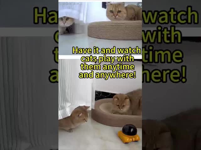 360 Degree Rotation Movable Pet Camera Detachable HD Resolution Weatherproof IP67