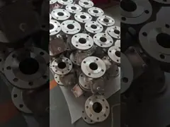 Stainless Steel Flanged Y Strainer Valve For Oil Water Gas Energy Saving