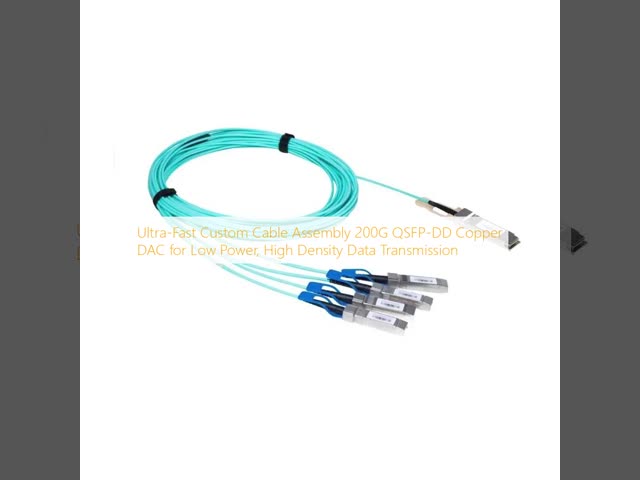 超高速カスタムケーブルアセンブリ 200G QSFP-DD 低電力,高密度データ転送のための銅DAC