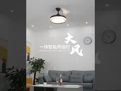 Factory 110V Modern LED Ceiling Lamp 42 Inch Remote Control Ceiling Fan With Light