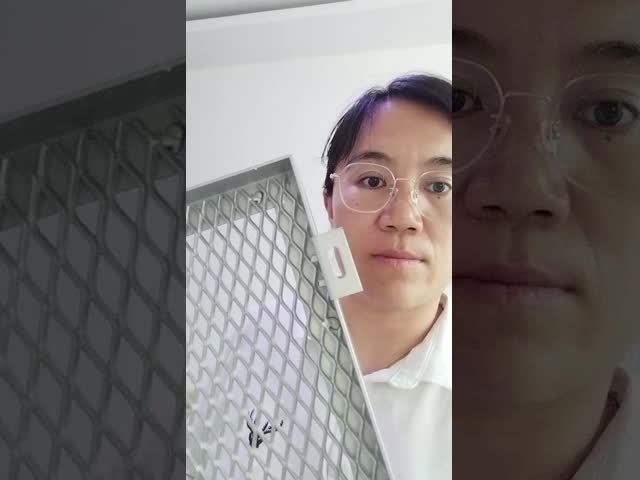 低炭素拡張金属網状シート 建築装飾用で塗装された粉