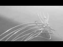 Furniture Decorative Paper For Pressure Lamination