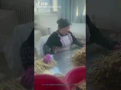 Dang Shen Codonopsis Pilosula Root Chinese Herbal Medicines