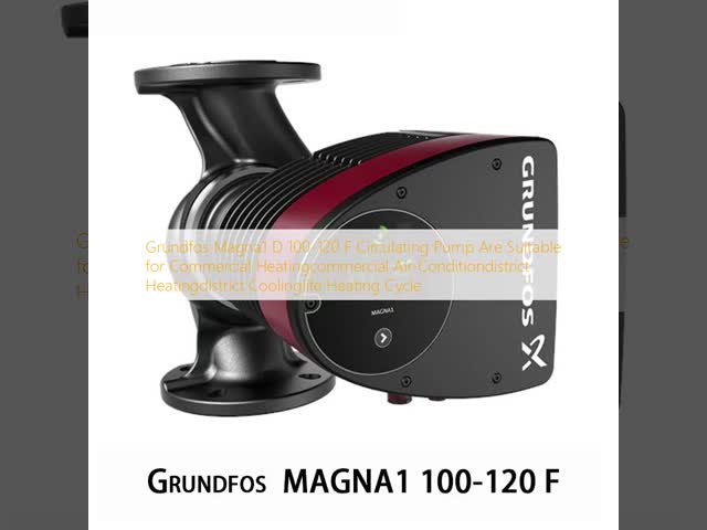 Grundfos MAGNA1 D 100-120 F 循環ポンプは,商業用暖房に適しています 商業用エアコン 遠隔暖房 遠隔冷却 ライフ暖房サイクル