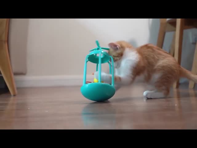 App Control Emotional STEM Pet Companion Robot Rechargeable Dancing Toys Portable