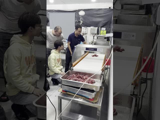 Высокоточный конвейерный детектор металла Мясо конфеты десерты Металлический детектор Чувствительность Пищевая промышленность
