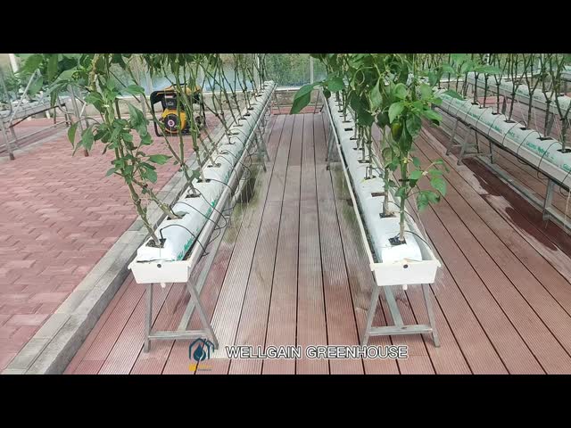 Vertical Planting PVC Substrate Grow Gutter Hydroponic Pepper Tomato Plant Trough