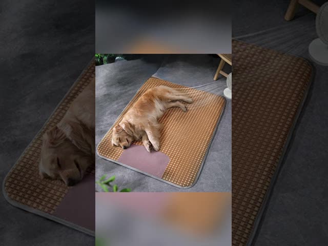 Heated Cat Bed Chew Resistant Cord Rechargeable Portable Pressure Activated Pet Beds