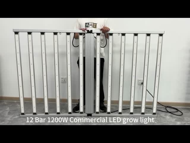 Wholesale 1200W Led Grow Light Fixture Full Spectrum Commercial SAMSUNG LM301H LM281B Led 12 Bar 4x6ft Indoor for Veg Fruit Tomato