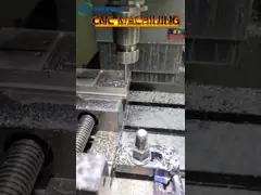 China Custom Moulds Fast Production Time Affordable Cost and Multiple Customization Options supplier