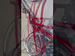 Vélo de 24 pouces pour femmes avec support arrière Elegante vélo pour femmes Vélo urbain féminin de style classique Vélo pour femmes