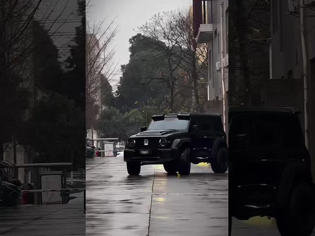競争力のある5人座5ドア3.0Tタンク 300SUV 500Nm 265KW 360Ps 4WD 新エネルギーハイブリッドEV ガソリン  benzin 燃料 新車