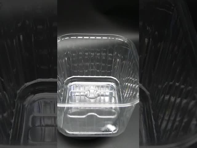 Custom Food Grade Clear PET Trays for Fruits Vegetables