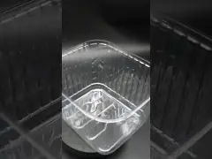 Custom Food Grade Clear PET Trays for Fruits Vegetables