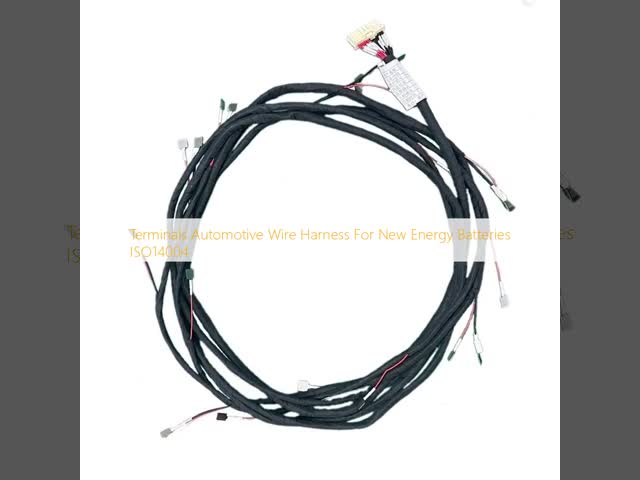 ターミナル 自動車用ワイヤーハーネス 新エネルギー電池用 ISO14004