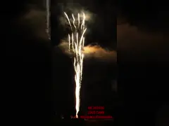 चीनी फैक्टरी थोक अनुकूलित नीली आतिशबाजी पिरोटेक्निक 100 शॉट 1.4G उपभोक्ता उल्लू केक पार्टी के लिए आतिशबाजी