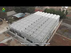 Commercial Agricultural Glass House Venlo Top Ventilation Multi-span Greenhouse