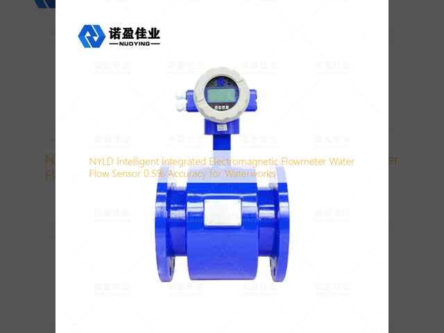 NYLD Intelligent Integrated Electromagnetic Flowmeter Water Flow Sensor 0.5% Accuracy for Waterworks Salt Water Flowmeter