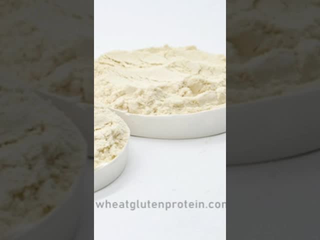 Vital Wheat Gluten, Wheat Gluten, Gluten