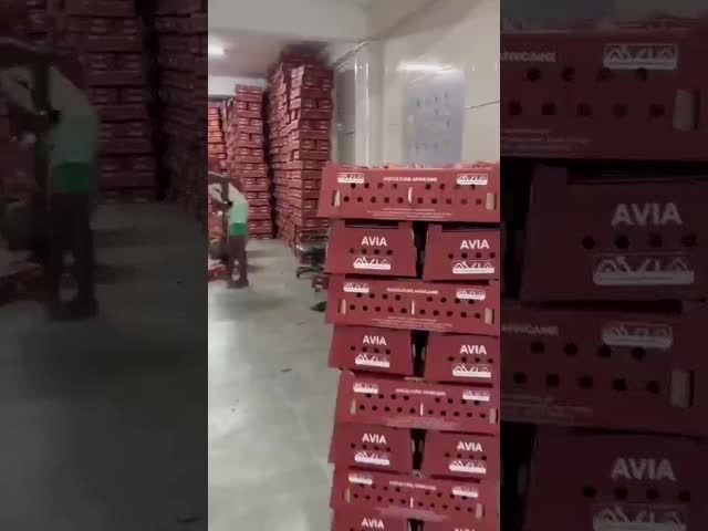 Incubadora da única fase para a variação da temperatura 30-70°C & a escala de umidade 30-90%RH