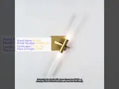 Nordic LED Agnes Sconce Gold Color Indoor Decorative Wall Lamp
