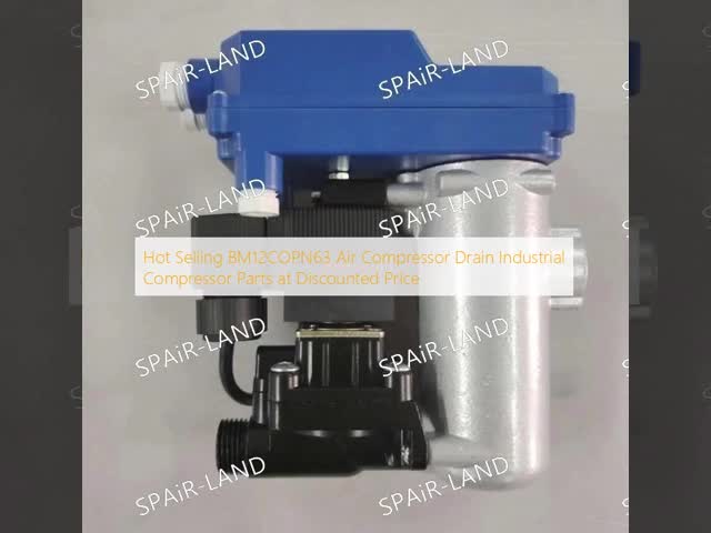 BG 644004401P  Industrial Compressor Solenoid Valve Hot Selling Air Compressor Part