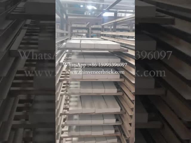 O fio contínuo da argila da construção cortou a construção do tijolo/tijolo da argila para a parede de construção
