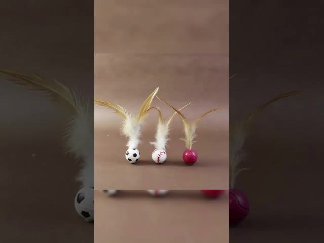 Funny Waterproof Pet Training Products Hypoallergenic Cat Training Toys