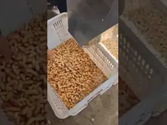 0.5-3 Tons Per Hour High Precision Small Peanut CCD Color Sorter