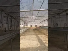 China High Roof Single Span Greenhouse With Good Natural Ventilation Insect Proof Netting supplier