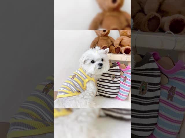 Machine Washable Pet Clothing Multi Scene Wear Pet T Shirt Waterproof Breathable