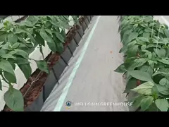 Greenhouse Black Planting Trough PP Roll Hydroponic PP Grow Gutter For Sustainable Farming video