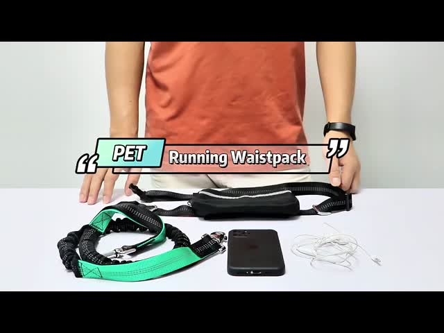 Multi Functional Hands Free Dog Leash Custom Dog Leash All In One With Adjustable Belt