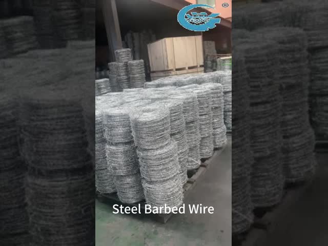 Galvanized High Carbon Steel Barbed Wire for Perimeter Security