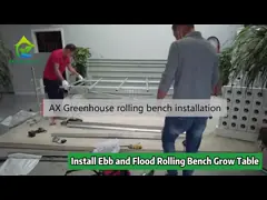 Ebb And Flow Greenhouse Rolling Bench For Seeding Vertical Grow