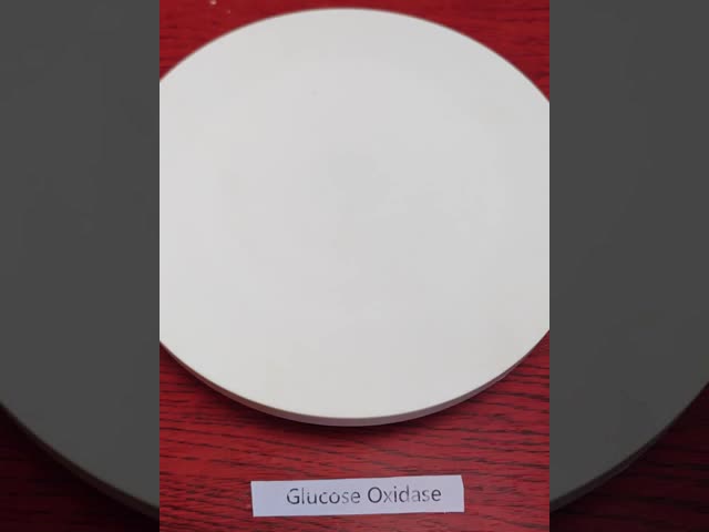 300U/G-500U/G グルコース酸化酶 食品 調理 パーソナライズされた酵素活性