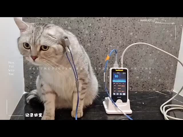 Touch Screen Pet Health Monitoring Devices Veterinary Grade Pulse Oximeter 24/7 Monitoring