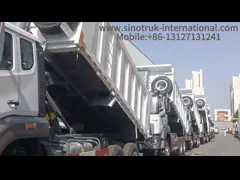 Sinotruk Howo tirador camión de descarga Weichai 380hp 10 ruedas 6 × 4 Rhd 20CBM video