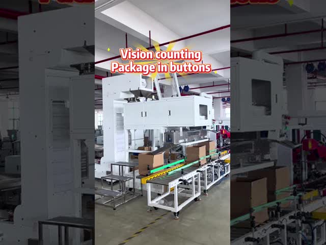 High Accuracy Speed Fastener Vision Counting Machine With Touch Control Screen video