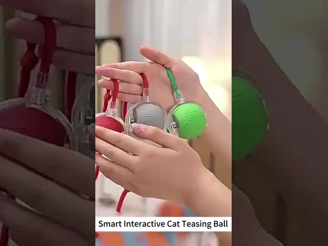 Voice Control Pet Training Toys GPS Tracking Long Battery Life Bluetooth Remote Control