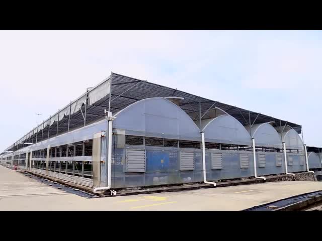 農業 多種間 ストロベリー 緑地 プラスチック シェード トマト トンネル 緑地