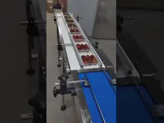 Stainless Steel Modified Atmosphere Packaging Machine For Fresh Litchi