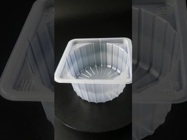 Food Grade PP Vacuum Formed Trays for Cupcakes and Chocolate Pies