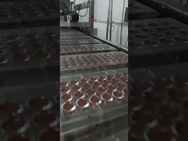 高容量チョコレート生産ライン トンネルの長さは10~14メートル