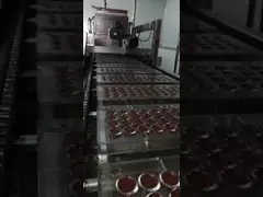 Línea de producción de chocolate de alta capacidad con una longitud de túnel de 10-14 metros video