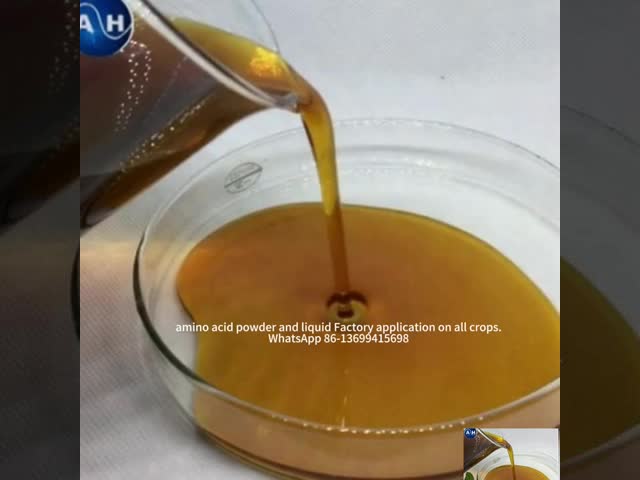 赤い色の開発を促進するフルーツ色のためのアミノ酸のキレート化されたカリウム