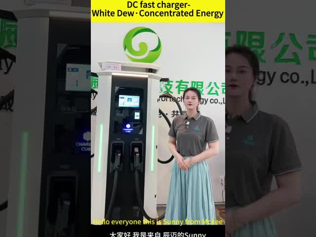 60kW-180kW DC EV Charger with 10.1 Touch Screen and Smart Power Allocation for Extreme Temperatures