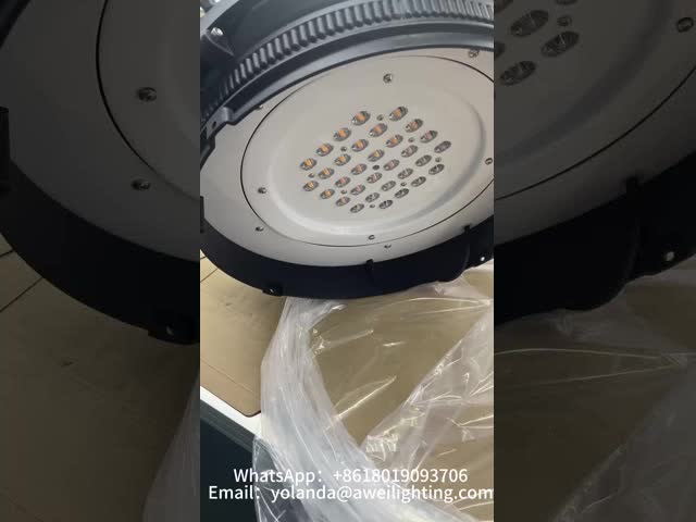 IP66 鋳造型アルミ 40W-100W クラシックアウトドアライト AC90-305V メインストリートと住宅区のための光学レンズクラウンライト