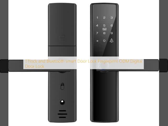 TTロックとBluetooth スマートドアロック 指紋 ODM デジタルドアロック