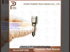 DLLA153P1609 Bosch Diesel Nozzle voor Common Rail Injectoren 0 445110277/278 bosch nozzle